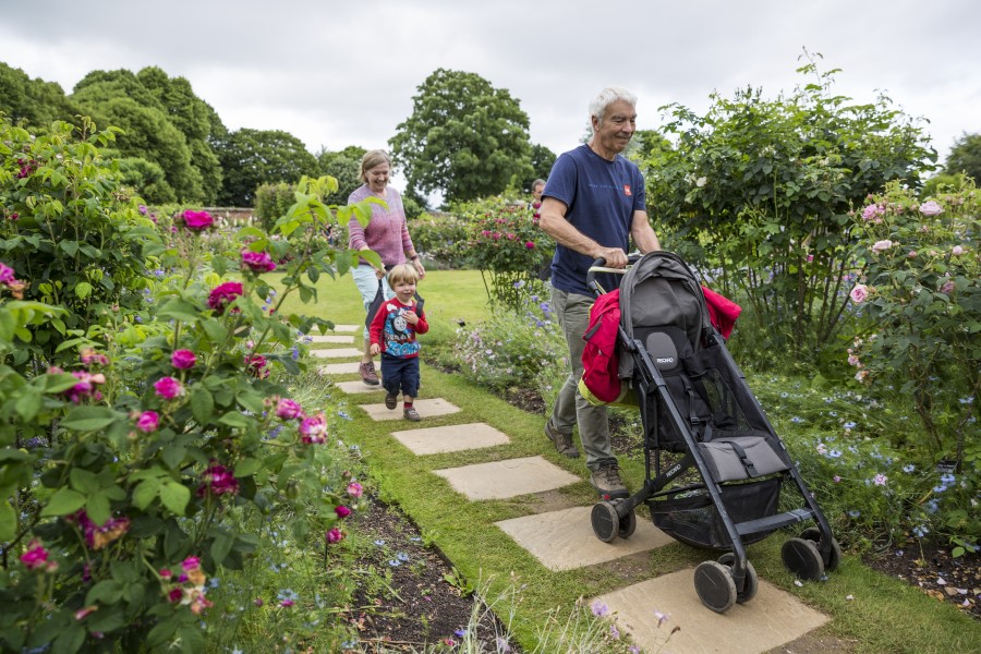 Mottisfont Roses